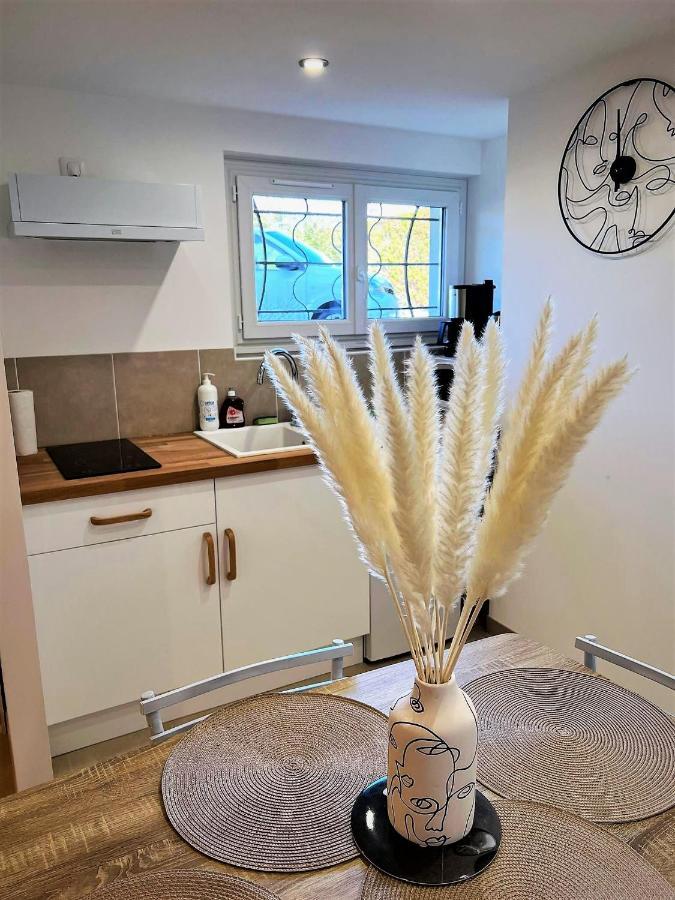Apartment Le Plum'art, 10mn Zoo De Beauval Avec Jardin