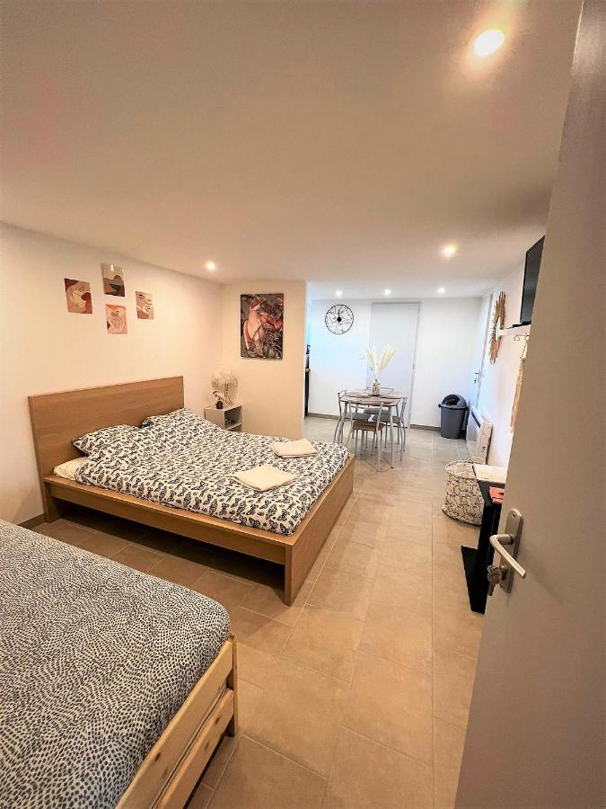 Le Plum'art, 10mn Zoo De Beauval Avec Jardin Apartment Noyers-sur-Cher